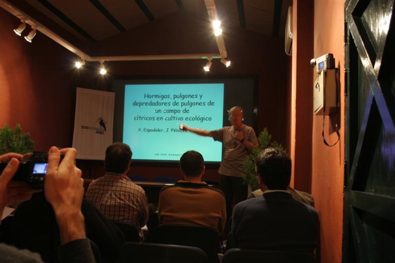 Imagen 008 (Medium)